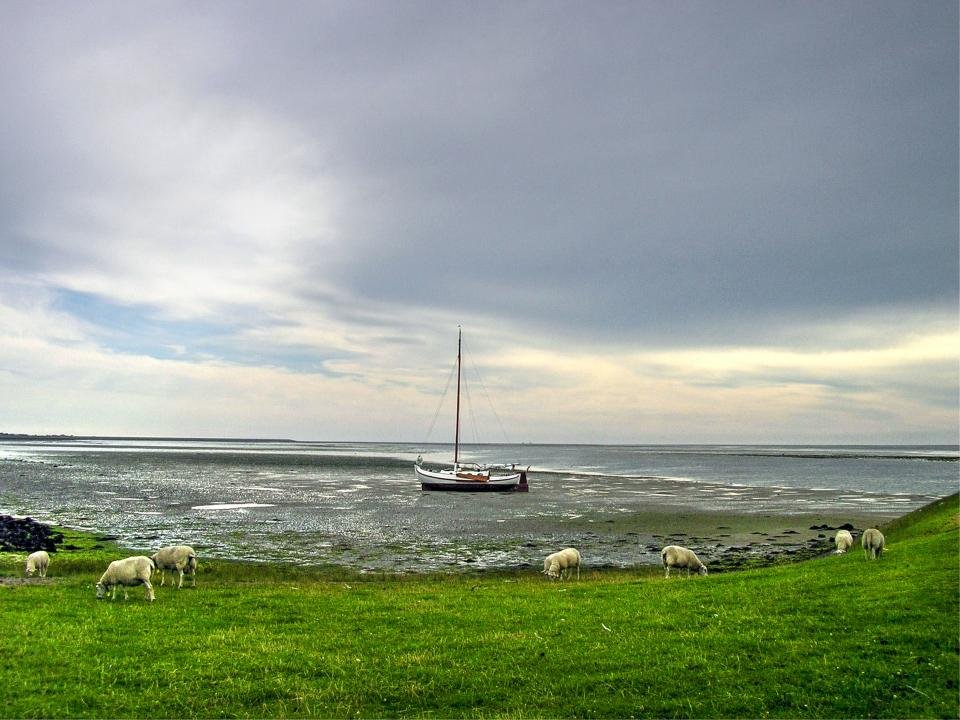 A sailboat moored off a grassy shoreline